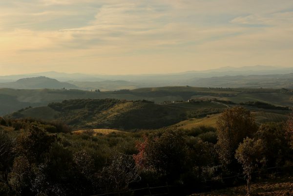 Rolling hills of Piedmont, Italy
