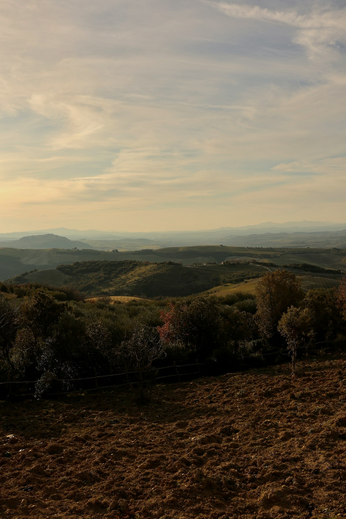 Rolling hills of Piedmont, Italy